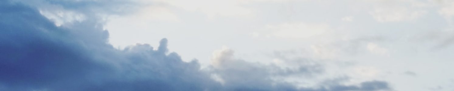 Blue Velvet Health & Fitness